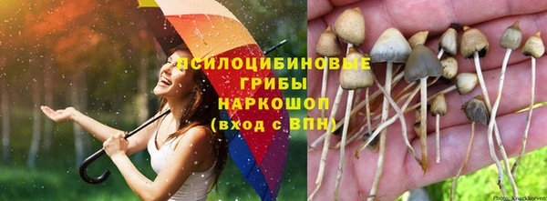 МДПВ Балахна