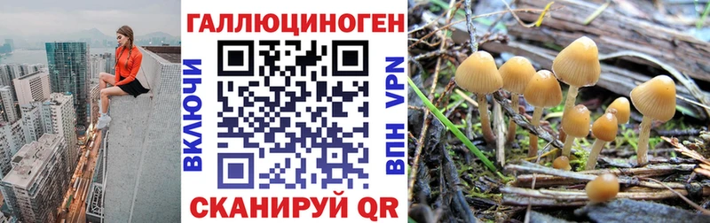 Купить  Сурск  Галлюциногенные грибы прущие грибы 